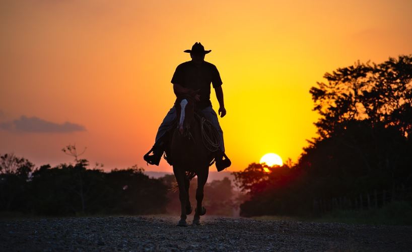 Cowboy silhouette