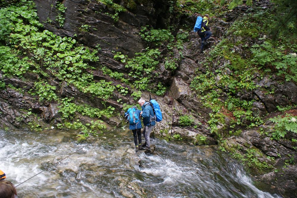 Navigating Challenges Together: Building Trust and Resilience