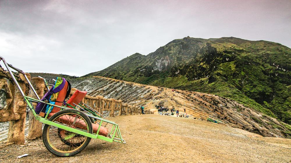 The Impact of Cultural Exchange on Family Dynamics