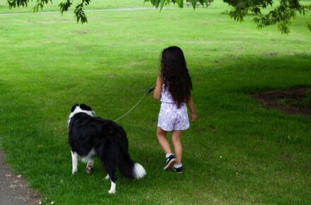 Child Dog Walking Child With Dog Child Dog Walking