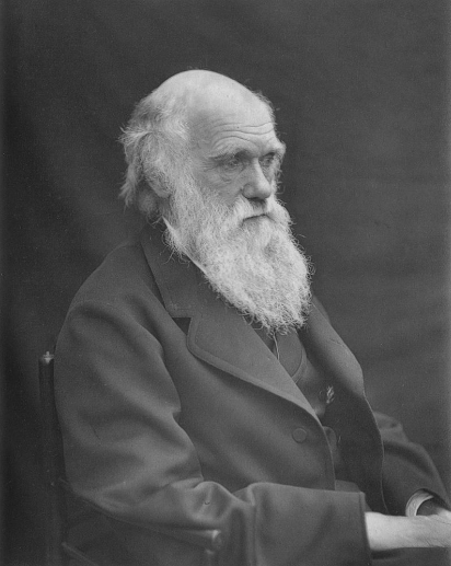 A picture of Charles Darwin